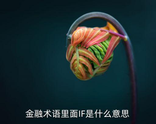 股票中if是什么意思，什么是IF股