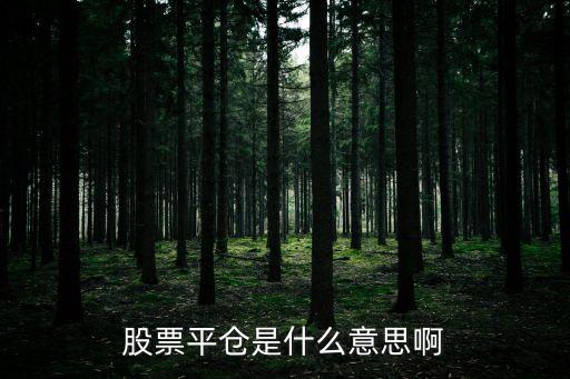 股票平仓是什么意思啊