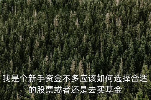 资金小可以买什么股票，资金少买什么股比较适合