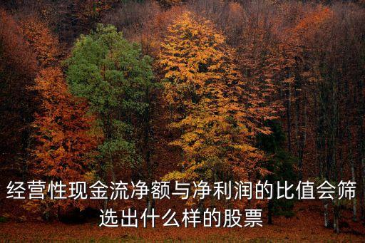 经营性现金流净额与净利润的比值会筛选出什么样的股票