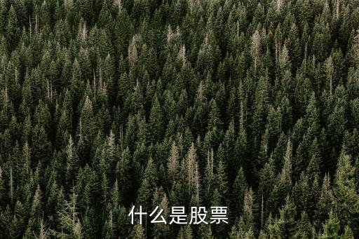 当今社会什么叫股票，什么是股票