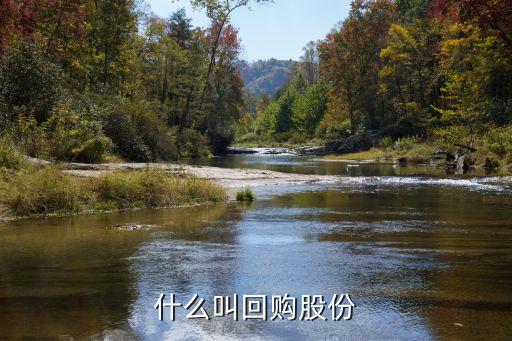 什么叫回购股份