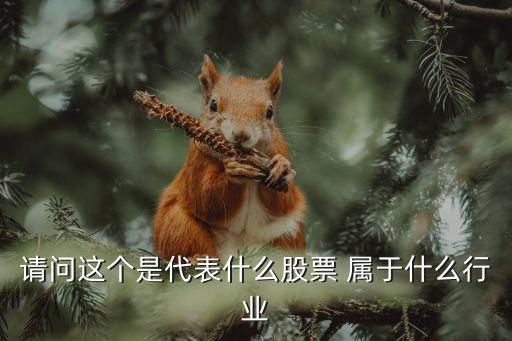 请问这个是代表什么股票 属于什么行业