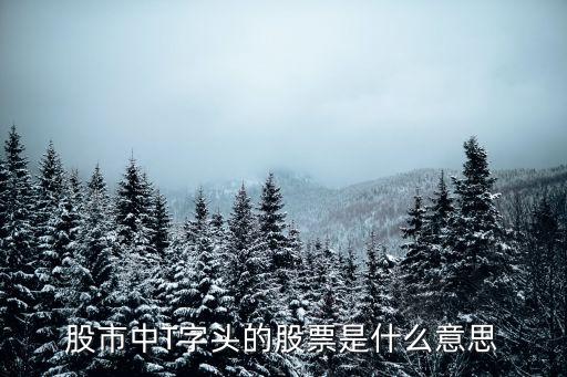 t股票什么意思，股票里做T是什么意思