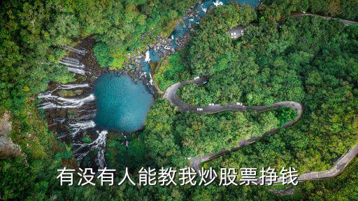 有没有人能教我炒股票挣钱