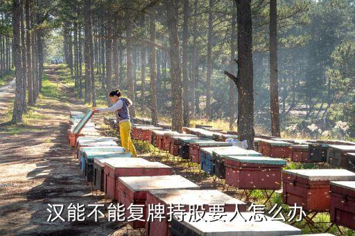 汉能股票什么时候停牌，港监会责令汉能薄膜停牌为什么呀