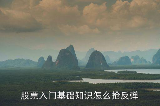 股票入门基础知识怎么抢反弹