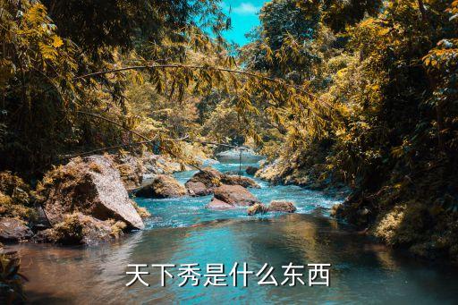 天下秀是什么东西