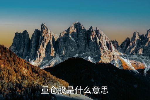 重仓股是什么意思