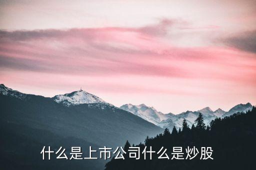 什么是上市公司什么是炒股