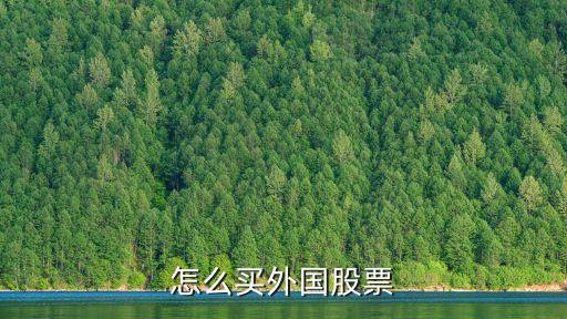 怎么买外国股票