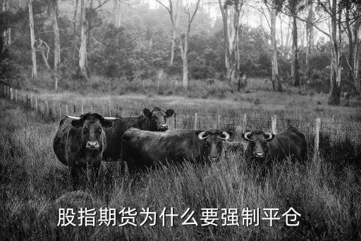 股指期货为什么要强制平仓