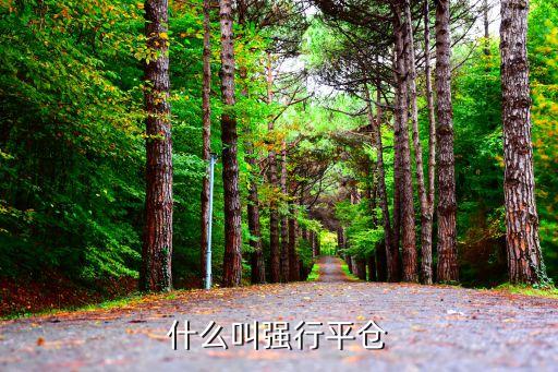什么叫强行平仓