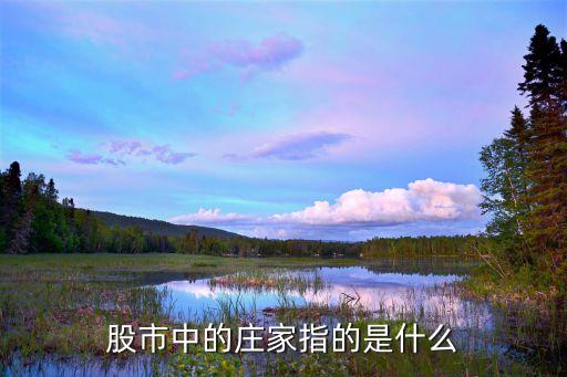 股票庄家是什么，股票的庄家是指