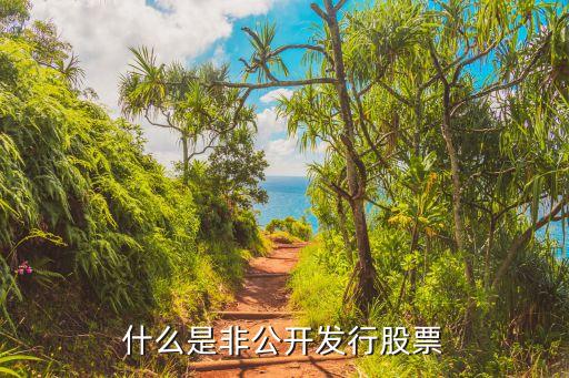 什么是非公开发行股票