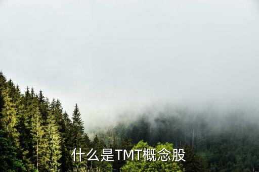 什么是TMT概念股