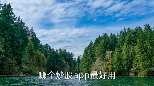 哪个炒股app最好用