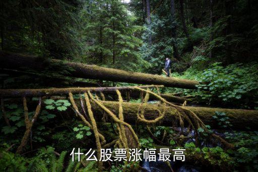 什么股票涨幅最高