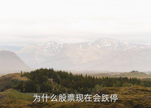 为什么股票现在会跌停