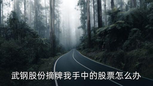 股票摘牌手上有股票怎么办，武钢股份摘牌我手中的股票怎么办