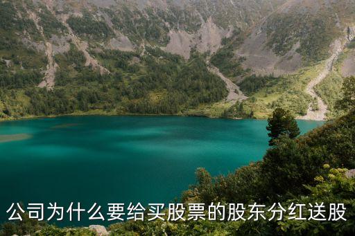 公司为什么要给买股票的股东分红送股