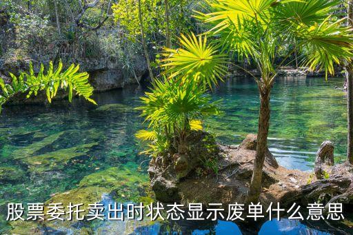 股票交易废单是什么意思，股票委托卖出时状态显示废单什么意思