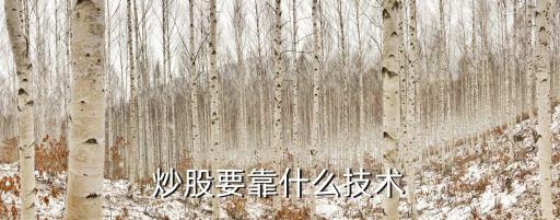 炒股要靠什么技术