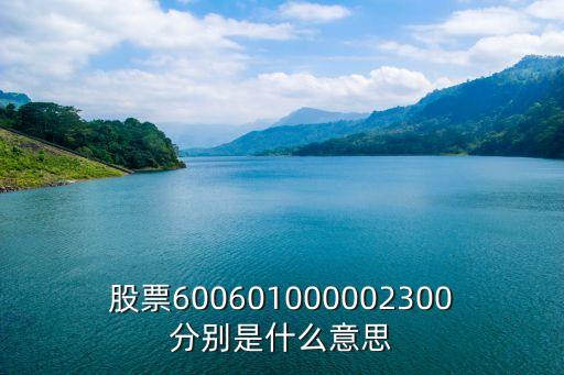 股票600601000002300分别是什么意思