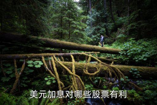美国加息什么股票会涨，美联储加息 哪些股票受益