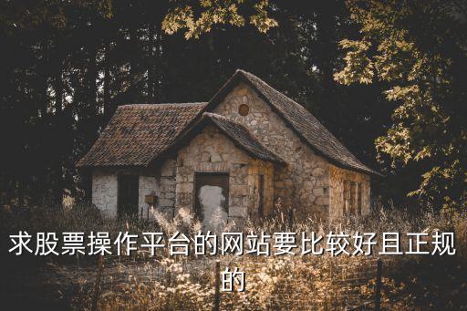 股票信息网站 要求什么，网页里面怎么加入 股票走势图 比如大盘走势图我是一个股票门户的