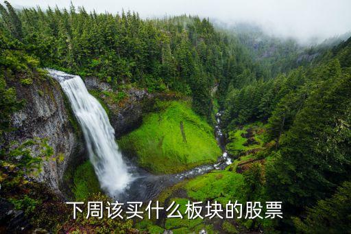 下周该买什么板块的股票