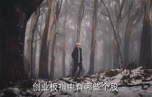 创业板指中有哪些个股