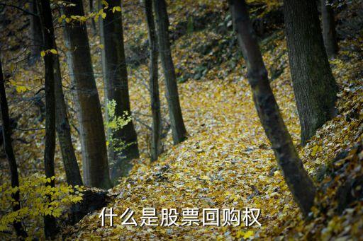 什么是股票回购权