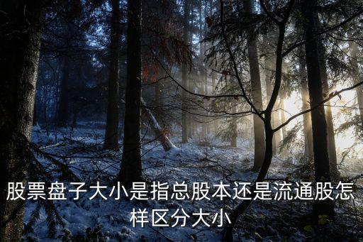 股票盘子大小是指总股本还是流通股怎样区分大小