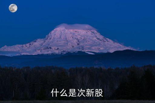 什么是次新股