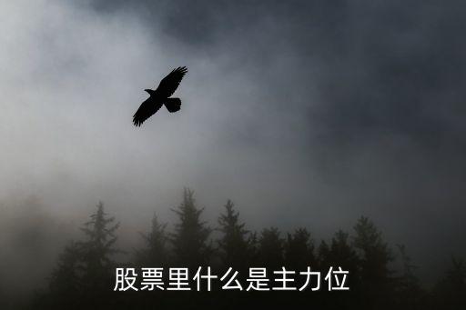 股票里什么是主力位