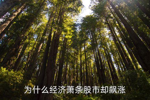 为什么经济萧条股市却飙涨