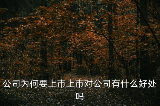 股票为什么都要上市交易，公司为何要上市上市对公司有什么好处吗
