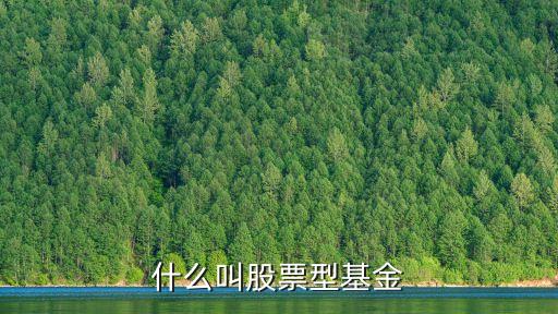 什么叫股票型基金