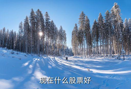现在什么股票好