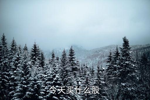今天买什么股