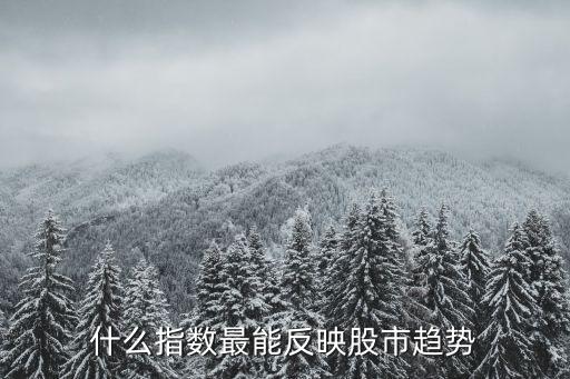 什么指数最能反映股市趋势