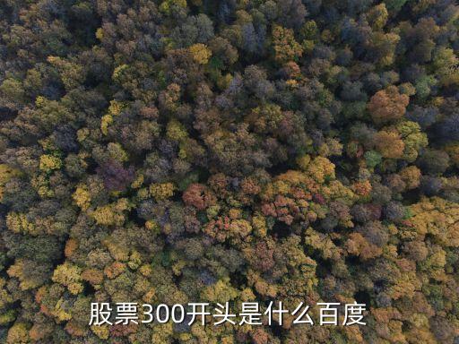 股票300开头是什么百度