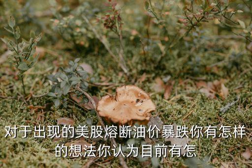 美股熔断买什么股票，对于出现的美股熔断油价暴跌你有怎样的想法你认为目前有怎