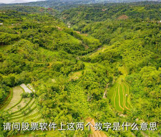 请问股票软件上这两个数字是什么意思