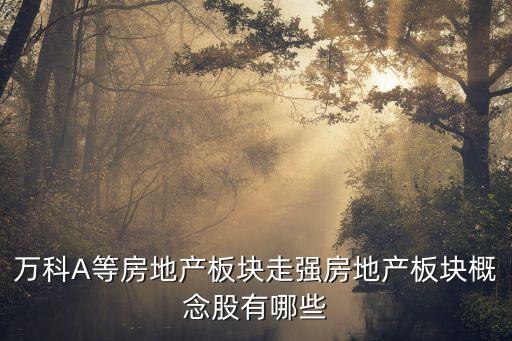 万科A等房地产板块走强房地产板块概念股有哪些