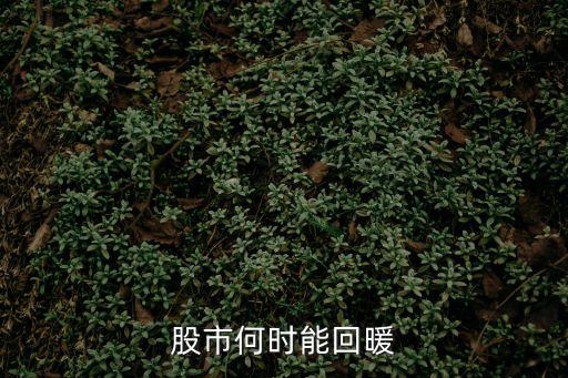 股市何时能回暖