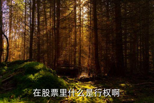 什么是股票行权，在股票里什么是行权啊