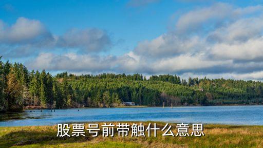 股票号前带触什么意思