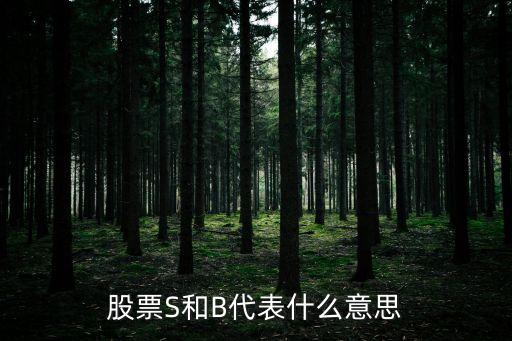股票S和B代表什么意思